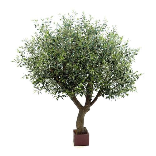 Flora World 7' NATURAL OLIVE TREE POLY TRUNK
